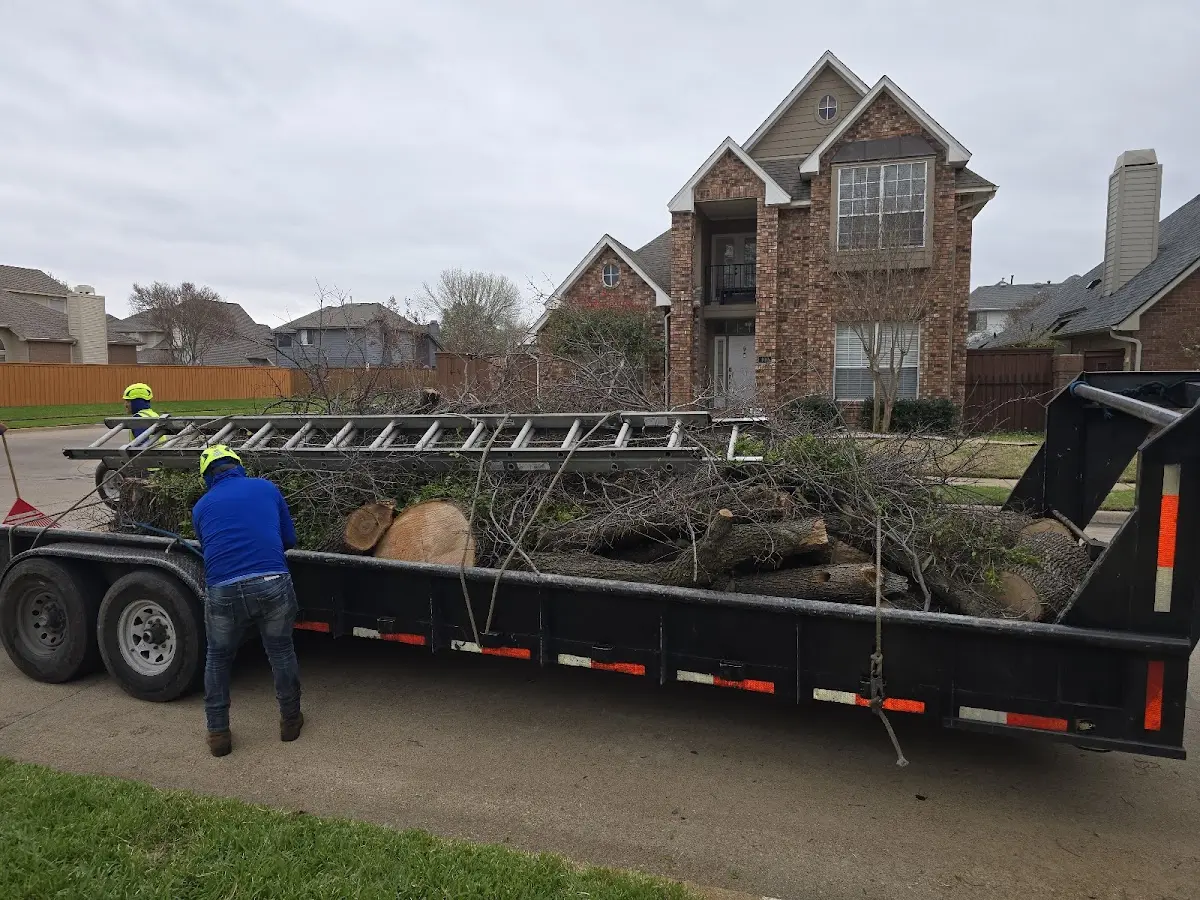 Expert Lot Clearing with proper safety equipment in Spray